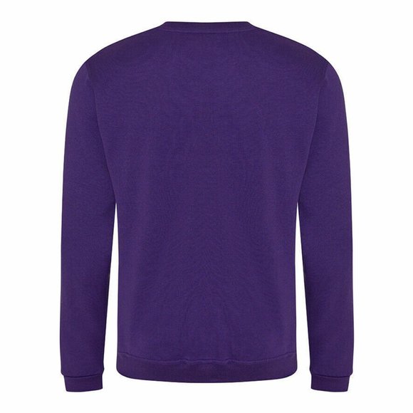 NWT LANDS' END UNIFORM GIRL'S CREW NECK SWEATSHIRT DEEP PURPLE LARGE - Picture 1 of 5